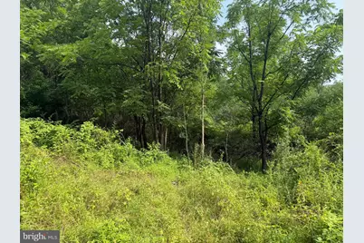 107+/- Acres Schenck Rd, Wells Tannery, PA 16691 - Photo 66