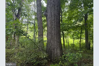107+/- Acres Schenck Rd, Wells Tannery, PA 16691 - Photo 54