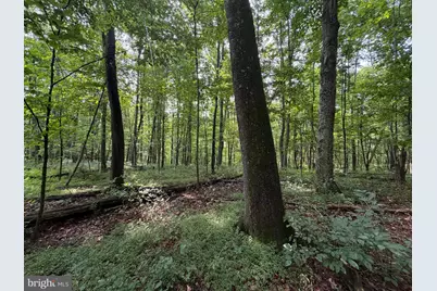 107+/- Acres Schenck Rd, Wells Tannery, PA 16691 - Photo 38