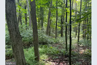 107+/- Acres Schenck Rd, Wells Tannery, PA 16691 - Photo 30
