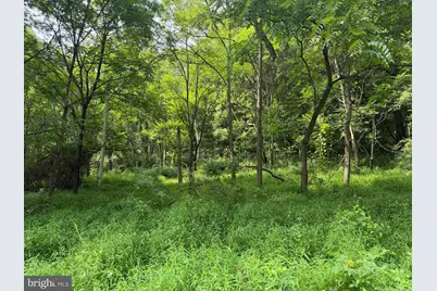 107+/- Acres Schenck Rd, Wells Tannery, PA 16691 - Photo 70
