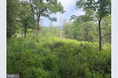 107+/- Acres Schenck Rd, Wells Tannery, PA 16691 - Photo 58