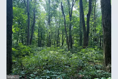 107+/- Acres Schenck Rd, Wells Tannery, PA 16691 - Photo 28