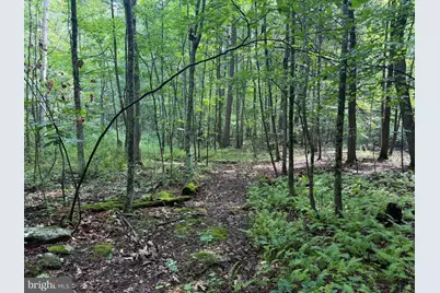 107+/- Acres Schenck Rd, Wells Tannery, PA 16691 - Photo 50