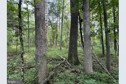 107+/- Acres Schenck Rd, Wells Tannery, PA 16691 - Photo 44