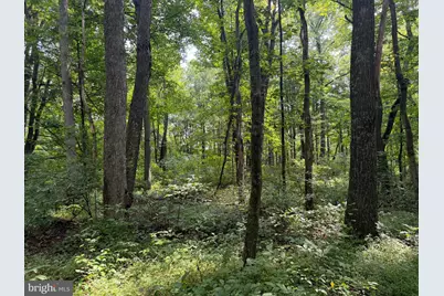 107+/- Acres Schenck Rd, Wells Tannery, PA 16691 - Photo 34