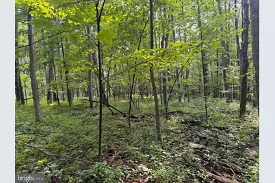 107+/- Acres Schenck Rd, Wells Tannery, PA 16691 - Photo 40