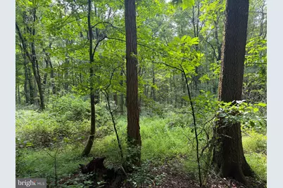 107+/- Acres Schenck Rd, Wells Tannery, PA 16691 - Photo 32