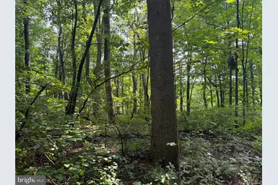 107+/- Acres Schenck Rd, Wells Tannery, PA 16691 - Photo 22