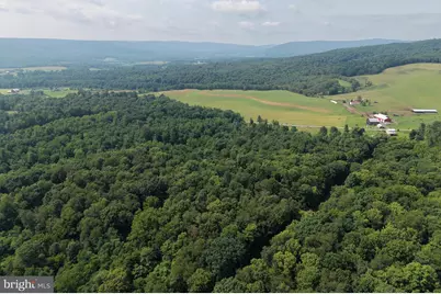 107+/- Acres Schenck Rd, Wells Tannery, PA 16691 - Photo 12