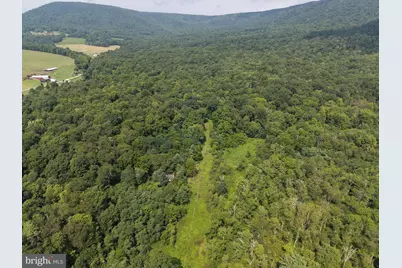 107+/- Acres Schenck Rd, Wells Tannery, PA 16691 - Photo 4