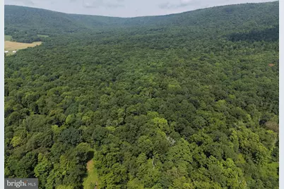 107+/- Acres Schenck Rd, Wells Tannery, PA 16691 - Photo 8