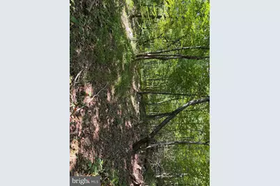Tract 1: 151.43+/- Acres Mountain Road, Needmore, PA 17238 - Photo 78