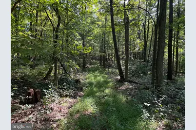 Tract 1: 151.43+/- Acres Mountain Road, Needmore, PA 17238 - Photo 68
