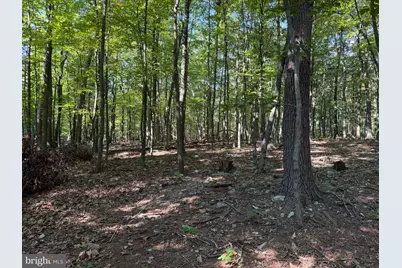 Tract 1: 151.43+/- Acres Mountain Road, Needmore, PA 17238 - Photo 54