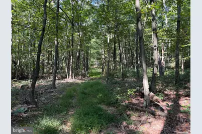 Tract 1: 151.43+/- Acres Mountain Road, Needmore, PA 17238 - Photo 62