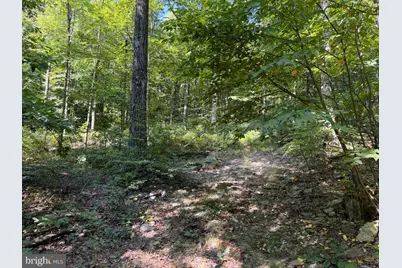 Tract 1: 151.43+/- Acres Mountain Road, Needmore, PA 17238 - Photo 80