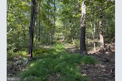 Tract 1: 151.43+/- Acres Mountain Road, Needmore, PA 17238 - Photo 64