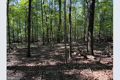 Tract 1: 151.43+/- Acres Mountain Road, Needmore, PA 17238 - Photo 56