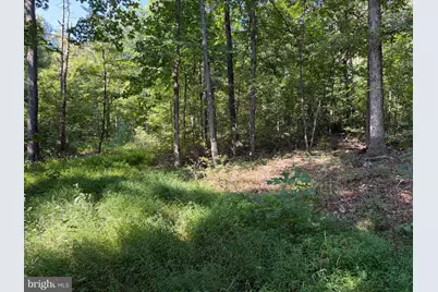 Tract 1: 151.43+/- Acres Mountain Road, Needmore, PA 17238 - Photo 66