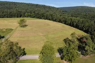 Tract 2: 21 62+/- Acres Mountain Rd, Needmore, PA 17238 - Photo 1