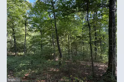 Tract 2: 21.62+/- Acres Mountain Road, Needmore, PA 17238 - Photo 28
