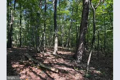 Tract 2: 21.62+/- Acres Mountain Road, Needmore, PA 17238 - Photo 36