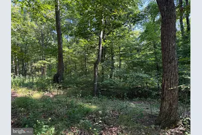 Tract 2: 21.62+/- Acres Mountain Road, Needmore, PA 17238 - Photo 32