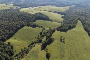 Tract 3: 76 11+/- Acres Mountain Rd, Needmore, PA 17238 - Photo 1