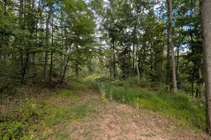 349 Lucas Rd, Warfordsburg, PA 17267 - Photo 50