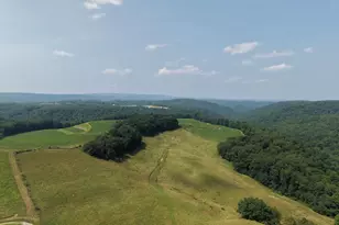 131 5+/- Acres At 361 Caney Valley Rd, Markleysburg, PA 15459 - Photo 12