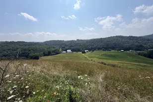 131 5+/- Acres At 361 Caney Valley Rd, Markleysburg, PA 15459 - Photo 28