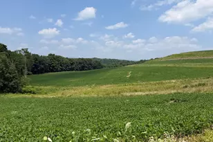 131 5+/- Acres At 361 Caney Valley Rd, Markleysburg, PA 15459 - Photo 48