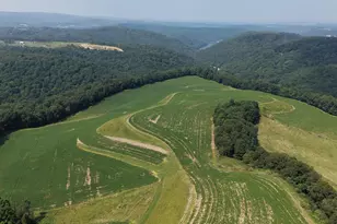 131 5+/- Acres At 361 Caney Valley Rd, Markleysburg, PA 15459 - Photo 26