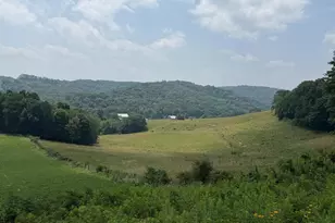 131 5+/- Acres At 361 Caney Valley Rd, Markleysburg, PA 15459 - Photo 40