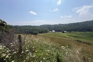 131 5+/- Acres At 361 Caney Valley Rd, Markleysburg, PA 15459 - Photo 30