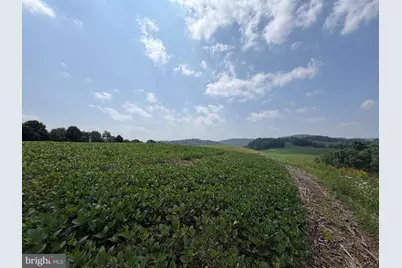 131.5+/- Acres At 361 Caney Valley Rd, Markleysburg, PA 15459 - Photo 34
