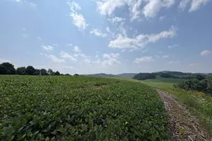 131 5+/- Acres At 361 Caney Valley Rd, Markleysburg, PA 15459 - Photo 34