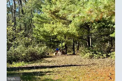 10126 Raystown Road, Huntingdon, PA 16652 - Photo 70