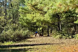 10126 Raystown Rd, Huntingdon, PA 16652 - Photo 70