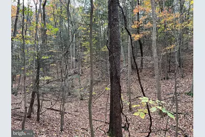 9766 Valley View Road, Three Springs, PA 17264 - Photo 34