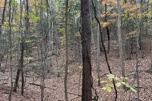 9766 Valley View Rd, Three Springs, PA 17264 - Photo 34