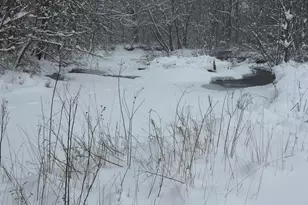 5859 Bethel Rd, Alexandria, PA 16611 - Photo 82