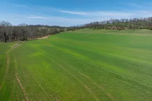 5859 Bethel Rd, Alexandria, PA 16611 - Photo 120