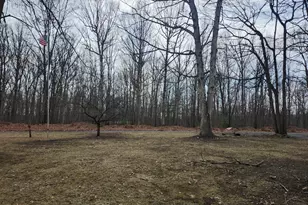 5545 Campfire Ln, Todd, PA 16685 - Photo 60