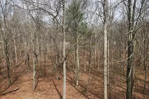 5545 Campfire Ln, Todd, PA 16685 - Photo 82