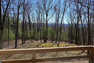 3027 Whitesel Rd, James Creek, PA 16657 - Photo 42