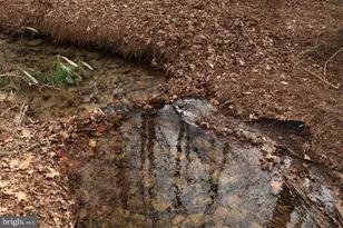 2469 Laurel Run Rd, Petersburg, PA 16669 - Photo 12