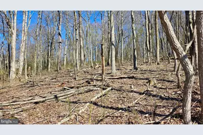 9206 Barkleys Lane, Huntingdon, PA 16652 - Photo 84