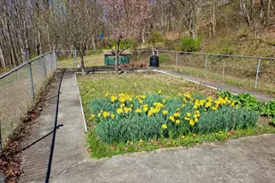 9206 Barkleys Ln, Huntingdon, PA 16652 - Photo 74